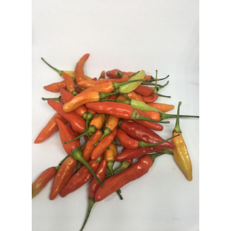 

cabe segar/ cengek merah 250 grm