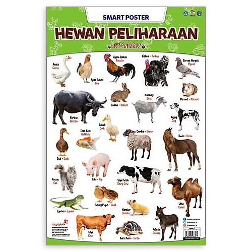 SMART POSTER HEWAN PELIHARAAN