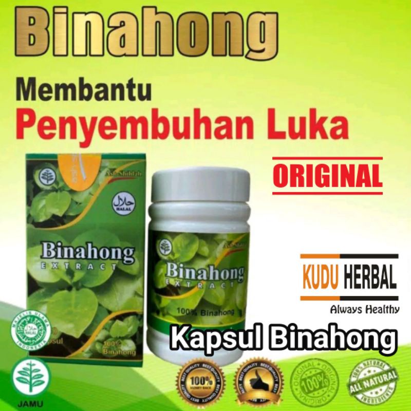 KAPSUL EKSTRAK DAUN BINAHONG Anti Rheumatic Rematik / Turunkan Tekanan Darah Tinggi Herbal