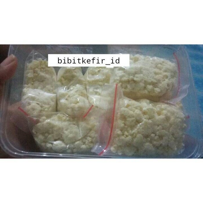 Terlaris Bibit Kefir / Grain Kefir 50 Gr