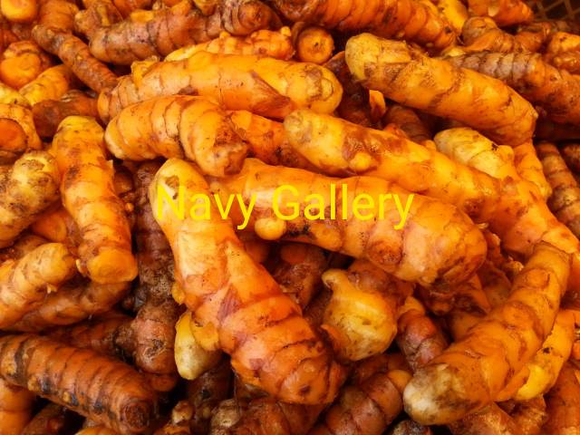 

Kunyit Fresh Segar kuning koneng Super Premium 1 kg