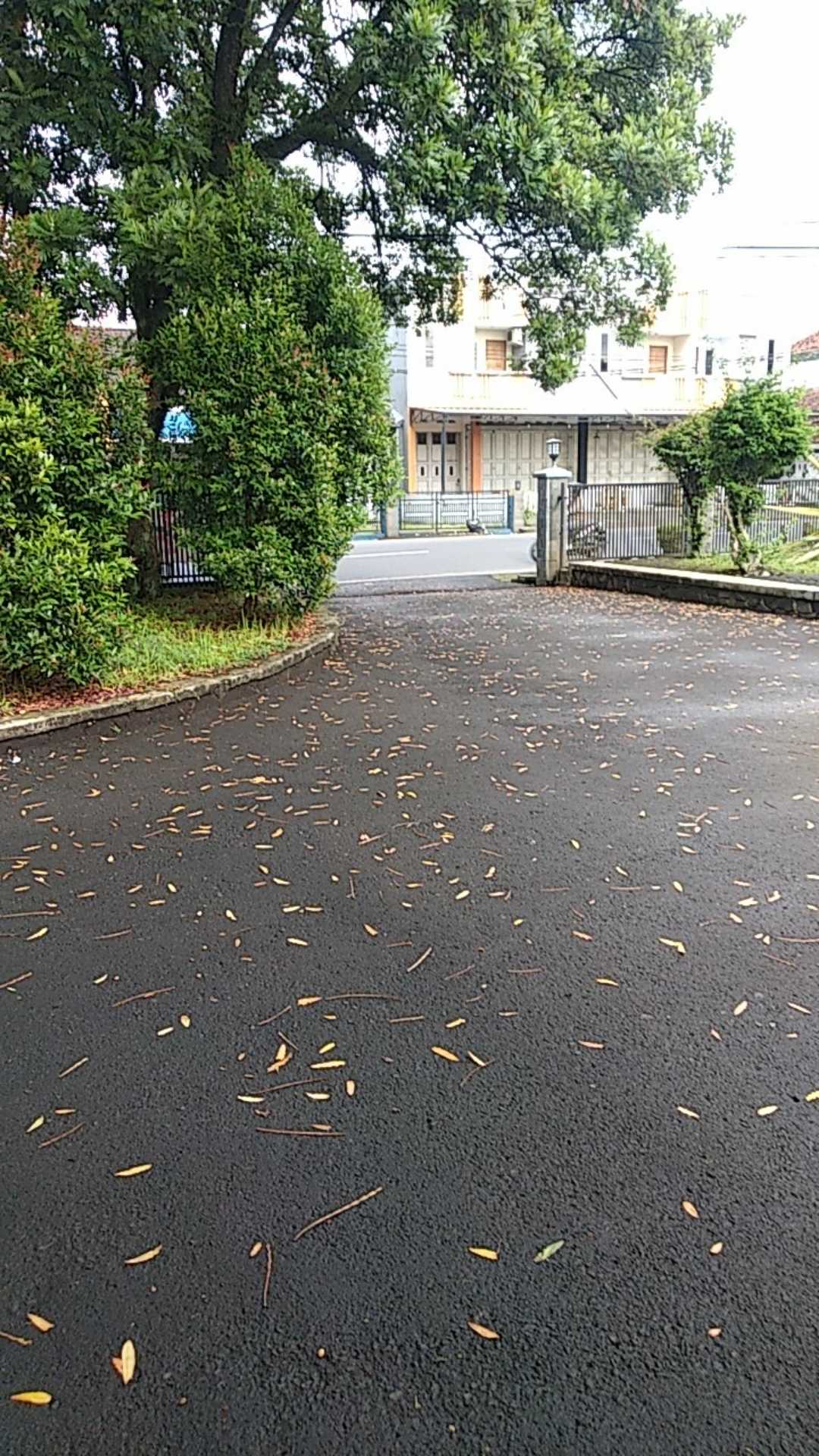 Payung Magic 3d Muncul Motif Jika Basah Bonus Sarung Payung Polos