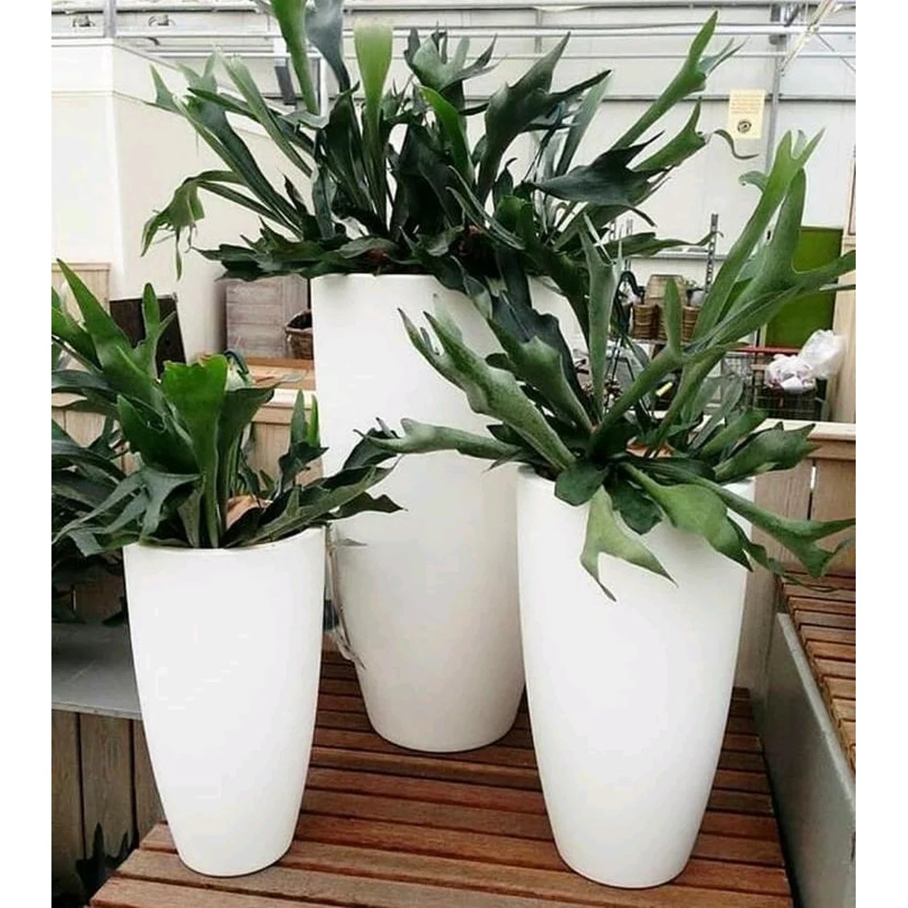 Pot teraso vas 1 paket 3 pot