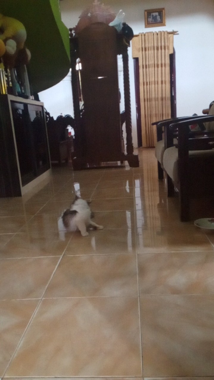 Size M L Xl Xxl Xxxl Bswart Batik Hrb026 Kenongo Hem Pendek Padi Pekalongan M