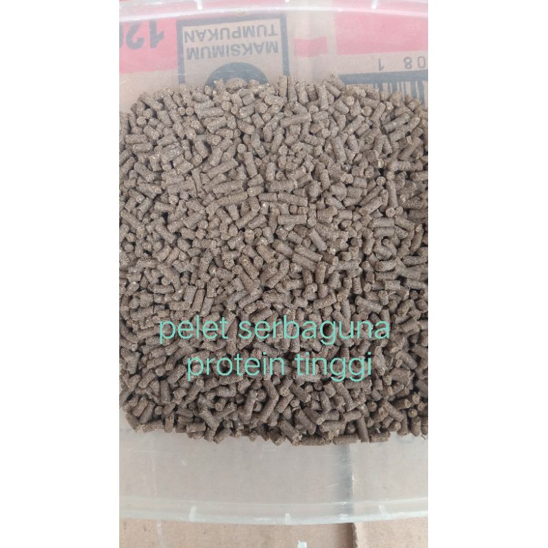 pakan lele, pelet ikan lele, pakan ikan