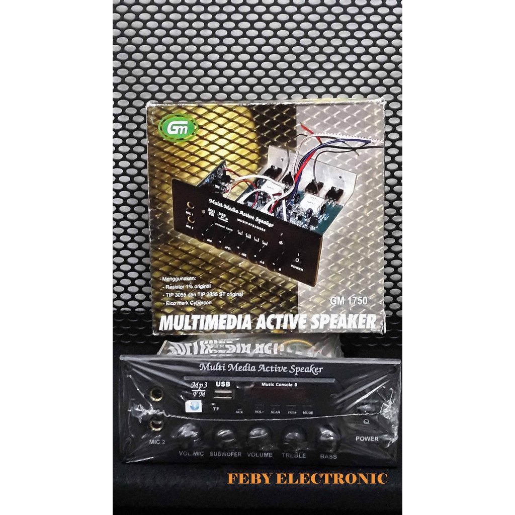 KIT GM 1750 MULTIMEDIA ACTIVE SPEAKER