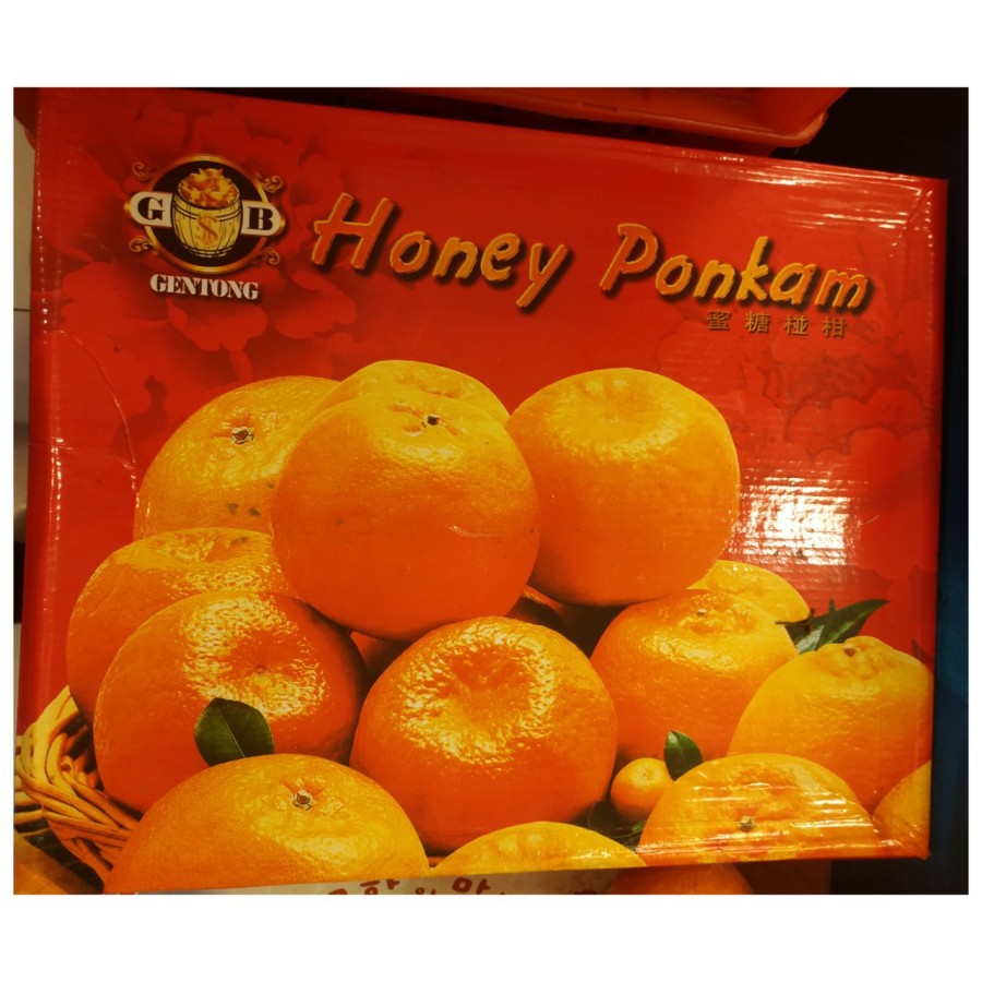 

Jeruk Ponkam Gentong 40 pics /koper