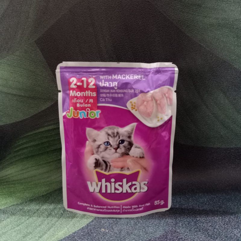 Whiskas pouch sachet 80gr / junior tuna / junior mackerel / mackerel/ocean fish /salmon / saba