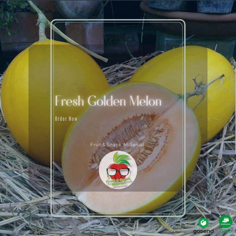 

Melon Golden Super Grade A 1 pcs