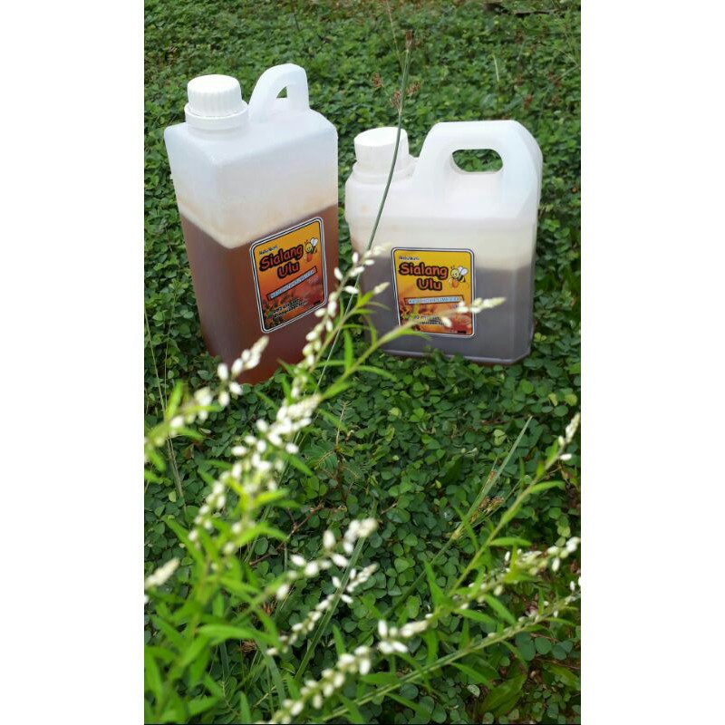 

Madu Sialang Ulu