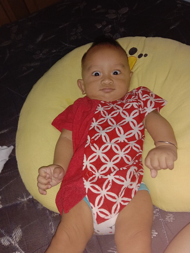 Kemeja Koko Batik Garutan Mix Dobby By Nattaline