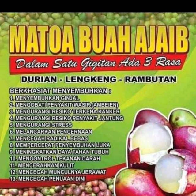 Jual Buah Matoa Murah Harga Terbaru 2021