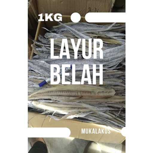 

IKAN ASIN LAYUR BELAH SEGAR MURAH KWALITAS SUPER