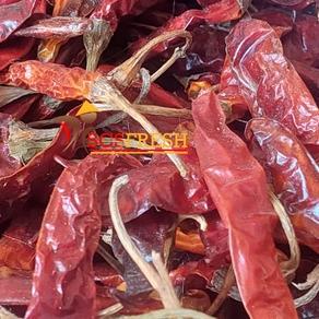 

Produk Ekslusif--Cabe Kering Teja Tangkai/ Cabe Rawit Merah Kering Tangkai Super Pedas (500 GRAM)