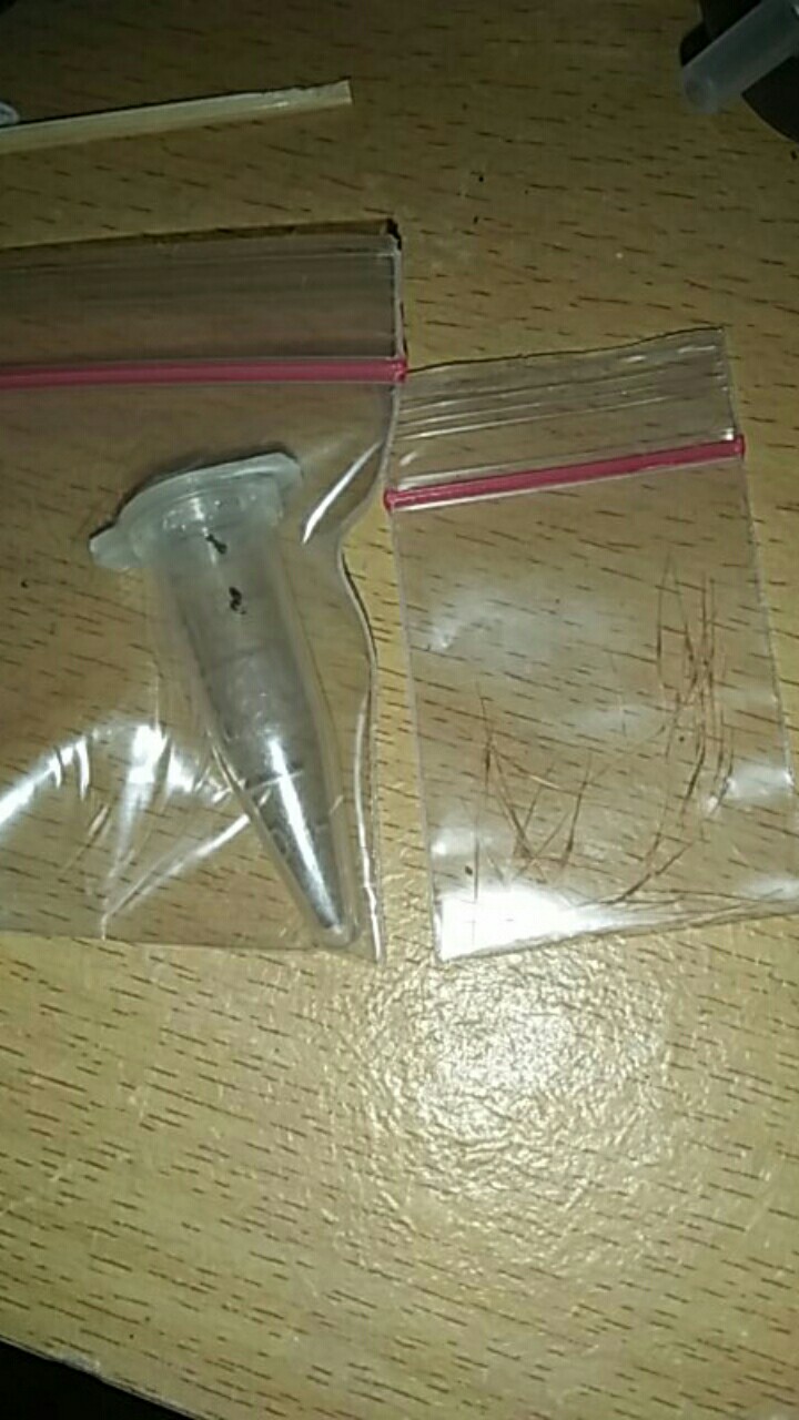 Biji / Benih / Seed Tanaman Karnivora Venus Flytrap