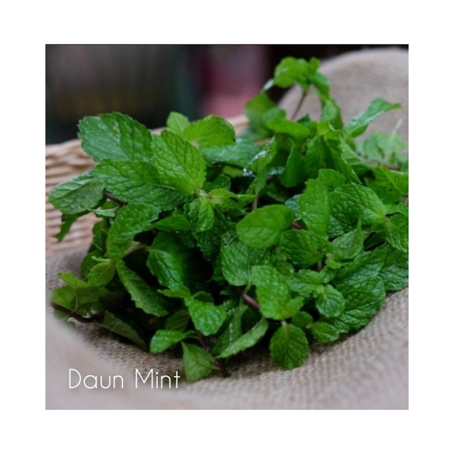 

Daun Mint organik 50 gr