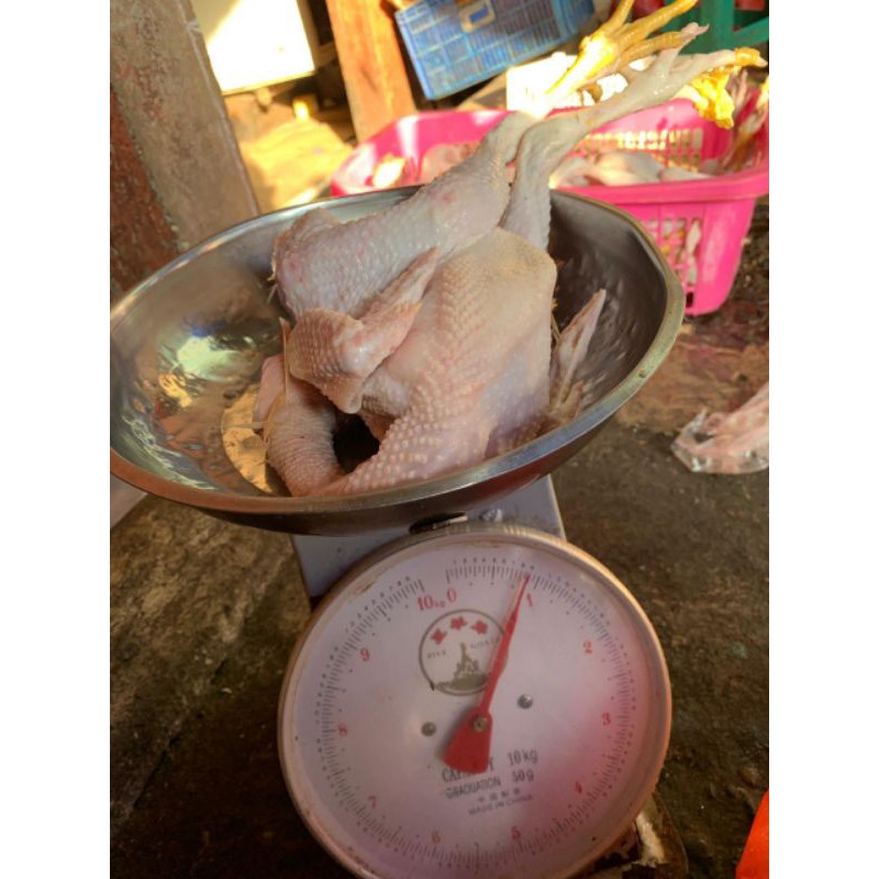 

ayam kampung super murah 800 gr