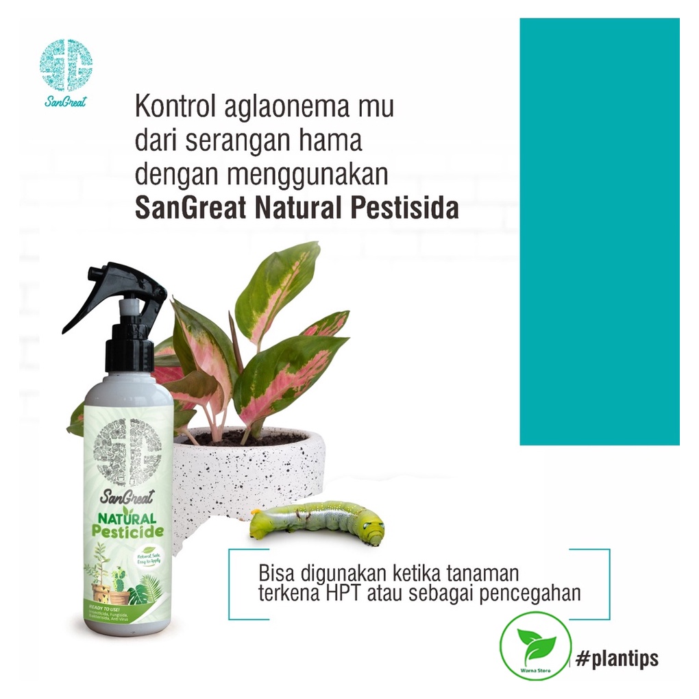 SanGreat Natural Pestisida untuk kutu putih ulat trips keong semut tanaman hias dan tabulampot 250 ml pestisida organik