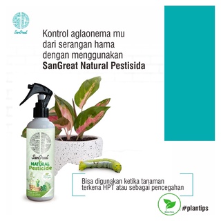 SanGreat Natural Pestisida untuk kutu putih ulat trips keong semut tanaman hias dan tabulampot 250 ml pestisida organik #2