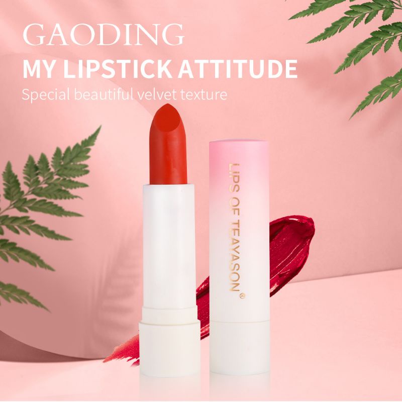 Matte Velvet Texture Lip Gloss TEAYASON Original Lipstick Moisturizing Lip Tint Waterproof Terlaris