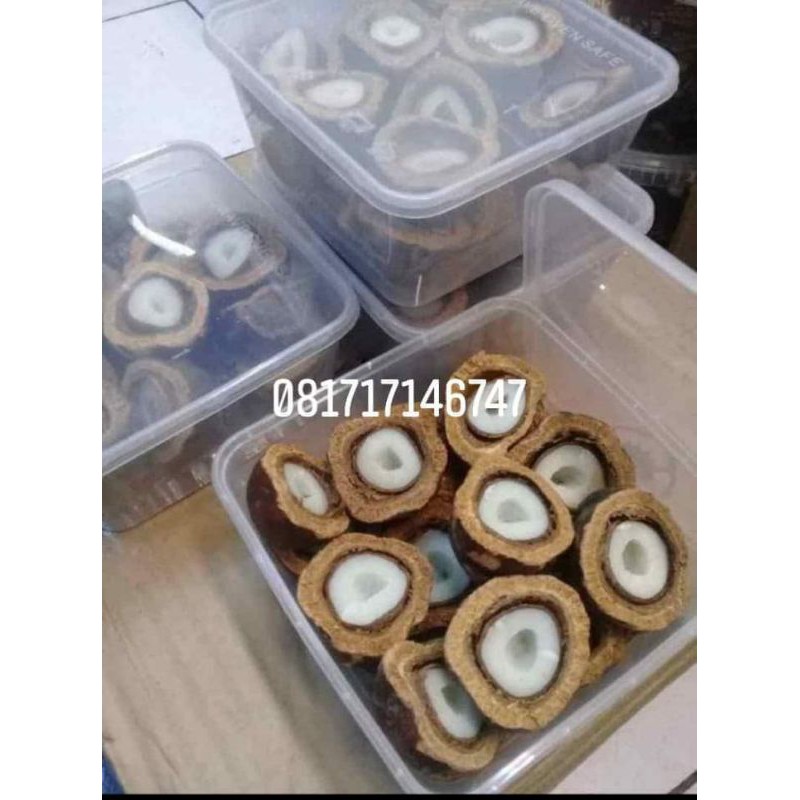 

buah zuriat belah