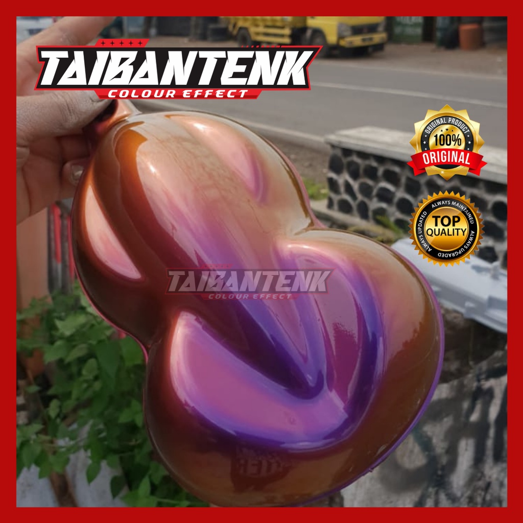 cat bunglon TAIBANTENK - GTM