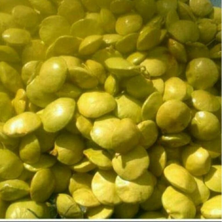 

PALING BAGUS jengkol muda lalap 1kg ♡ 863