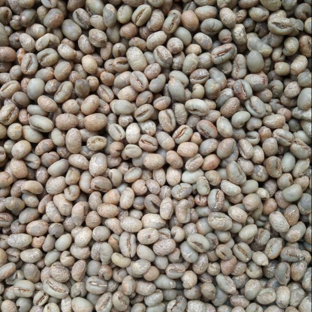 

Kopi Arabika Peaberry Argopuro Jember