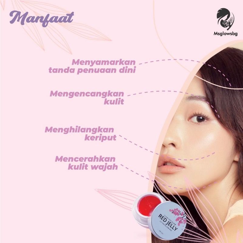 RED JELLY / RED JELLY MSGLOW / RED JELLY ORI / RED JELLY MSGLOW ORI