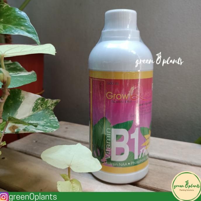 Jual Vitamin B1 Tanaman Grow Quick Plus 500ml [[[ TERSEDIA COD ...