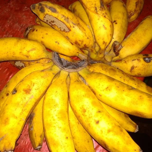 

Pisang Longok