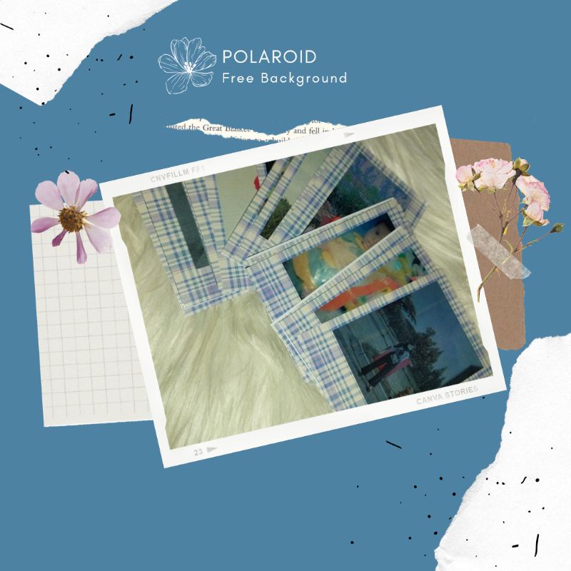 POLAROID 500 FOTO FREE BACKGROUND