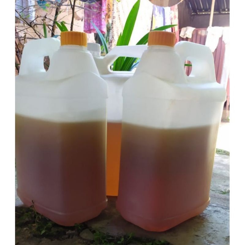

Madu Murni 100% Nechtar Multi Super Lebah Gunung Asli Tanpa Campuran Madu Herbal Kemasan 5 kg