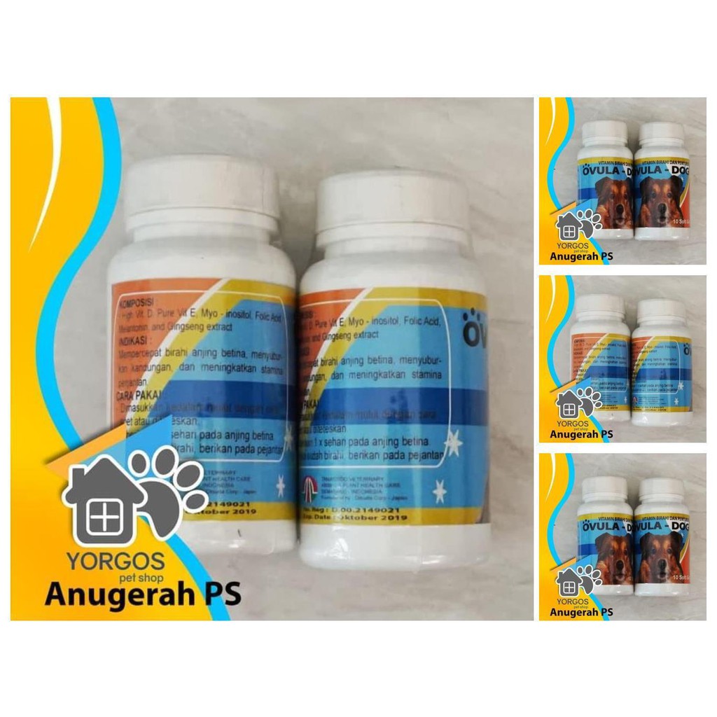 ovula dog vitamin birahi anjing