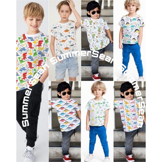 2 12 tahun Kaos Baju  Anak COWOK Summersean motif dino 