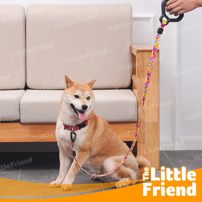 Tali Tuntun Jalan Leash Anjing Panjang Kuat FLAT ROPE 120cm MULTICOLOR