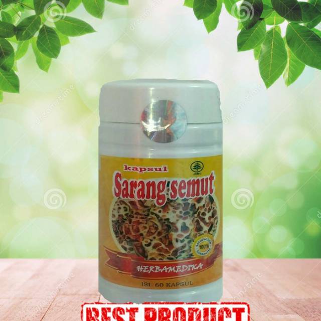 Kapsul Sarang Semut 60 Kapsul