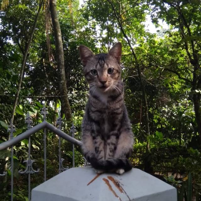 entinkartini16