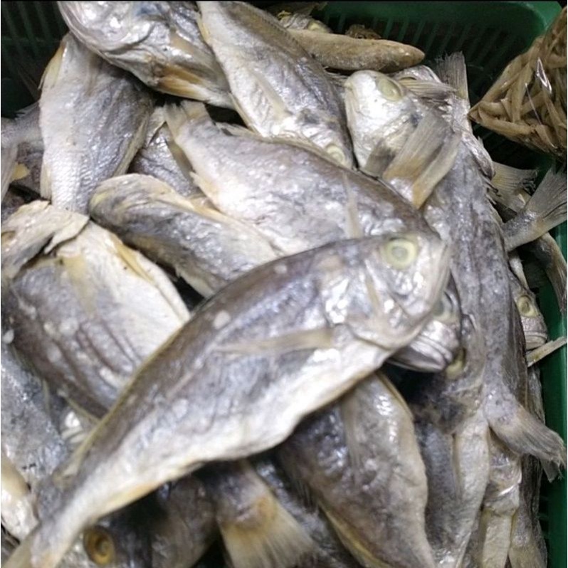 

ikan asin kepala batu medan 500gram