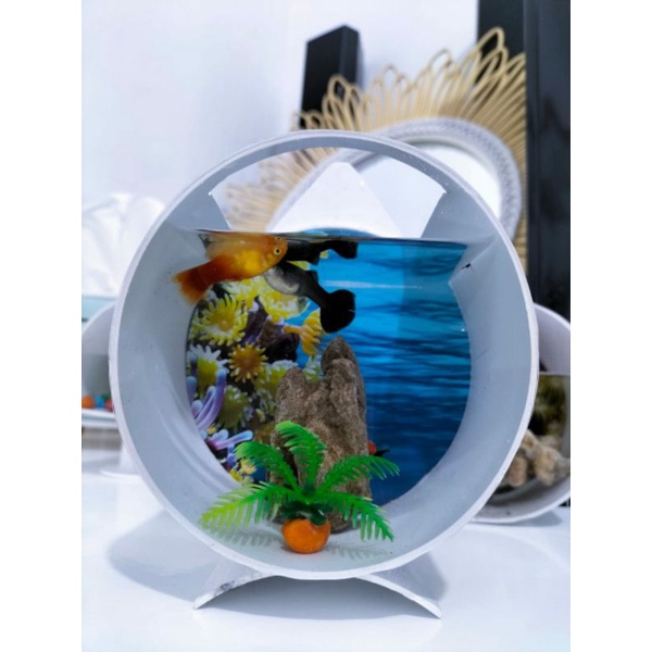 aquarium cupang/aquarium pvc/aquarium minimalis/ aquarium ikan hias/aquarium aestetik