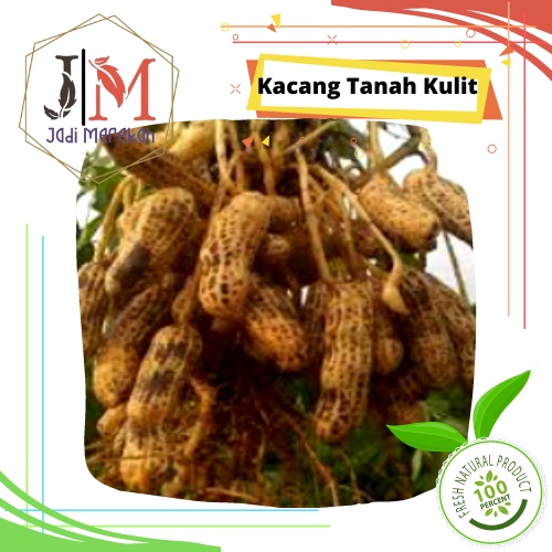 

[JM SoFresh] - Kacang Tanah Kulit Segar