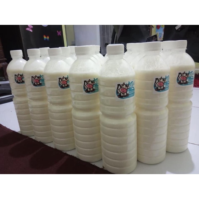 

SUSU KEFIR SAPI