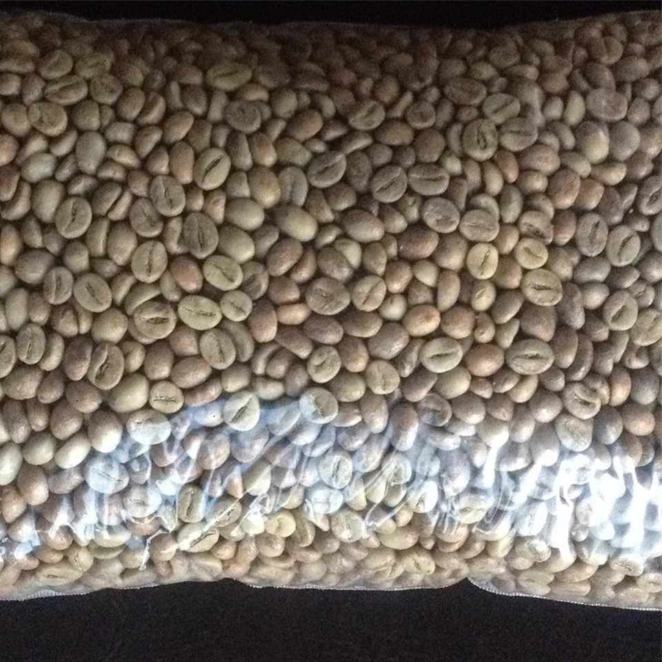 

Greenbean Kopi Robusta Gesing Temanggung Grade A Kualitas Terbaik Proses Terbaik