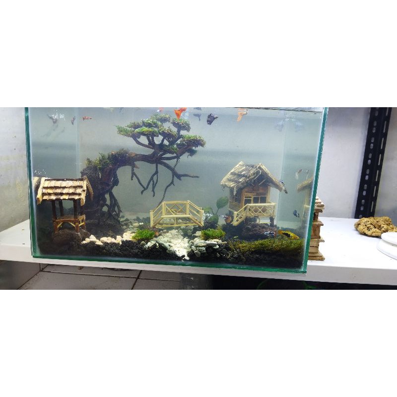 Satu set aquarium lengkap