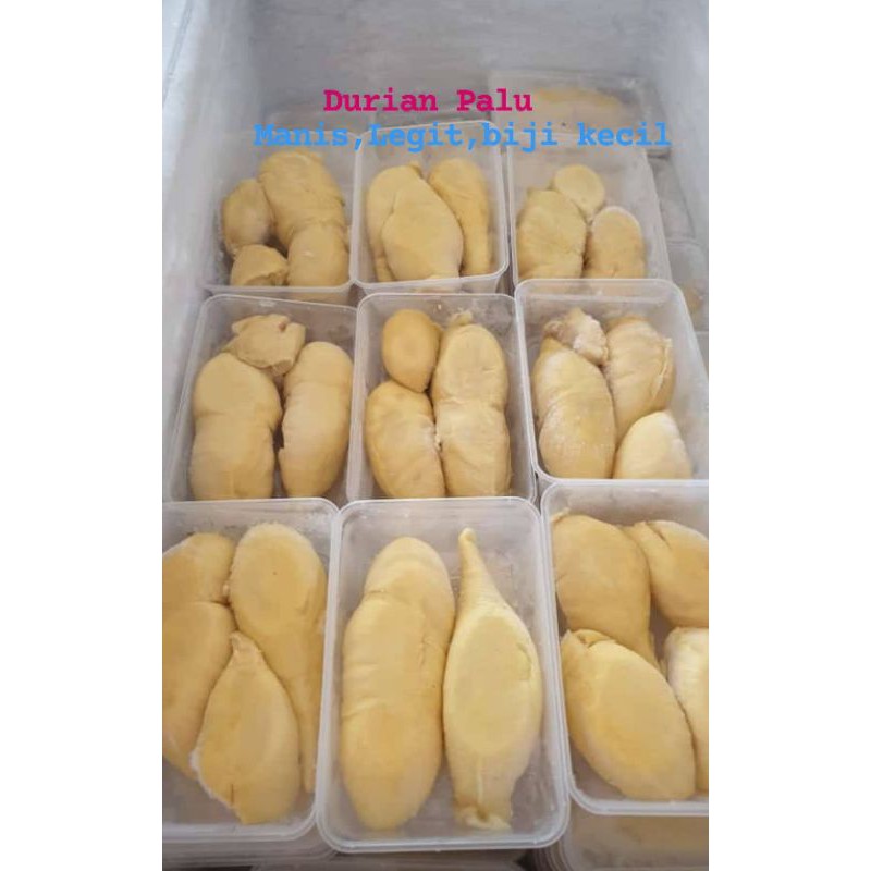 

durian montong palu / duren montong /durian palu