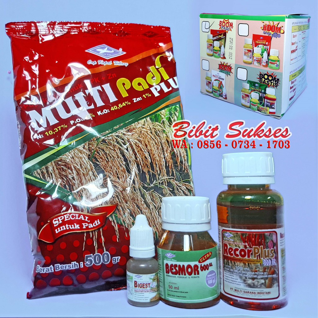 Boom Padi Cap Kapal Terbang