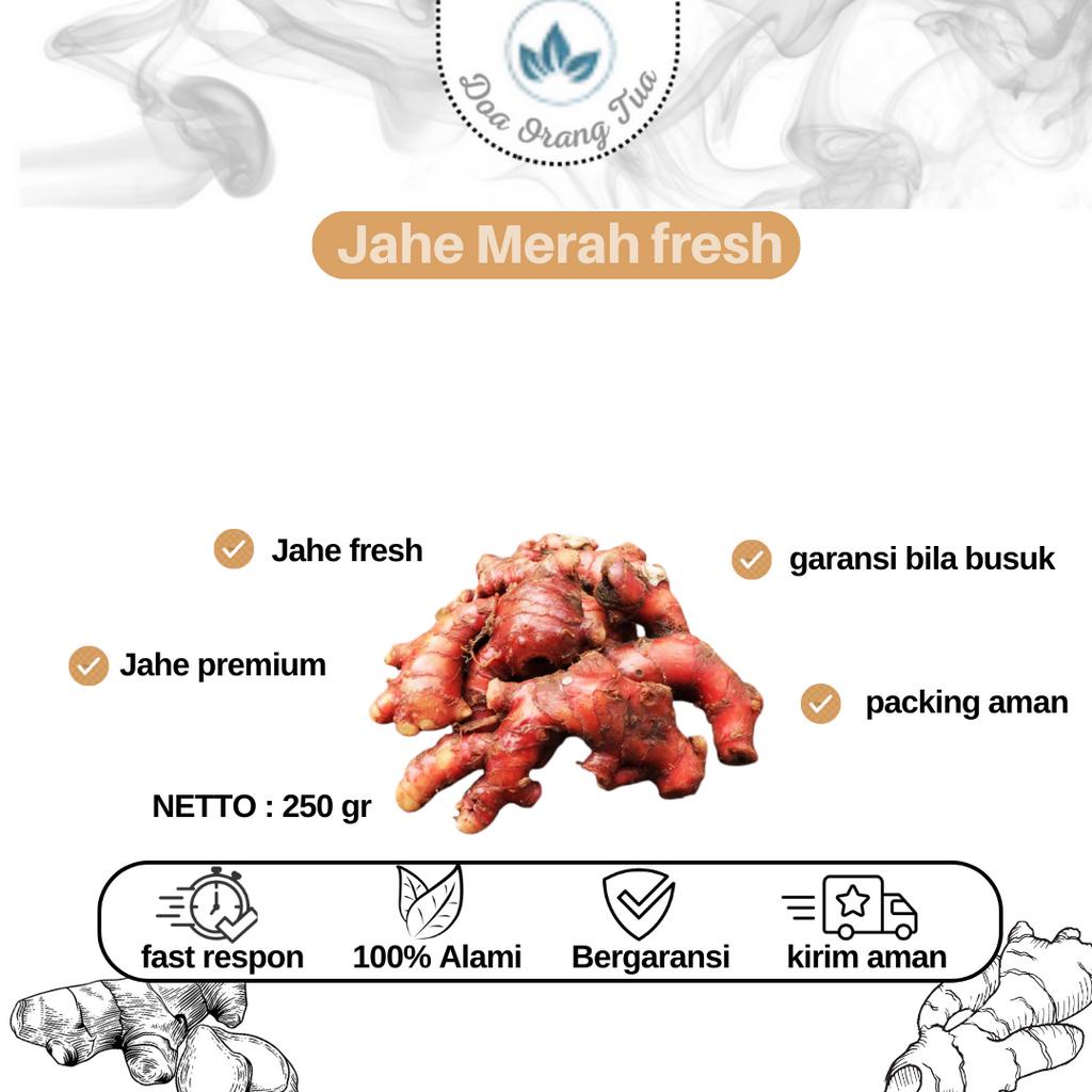 

JAHE MERAH FRESH PREMİUM 250GR