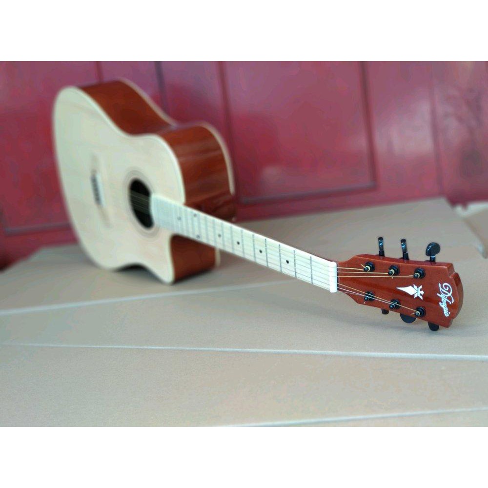 GITAR DIFERGIO FINGERBOARD MAPLE TERBARU sparepart murah