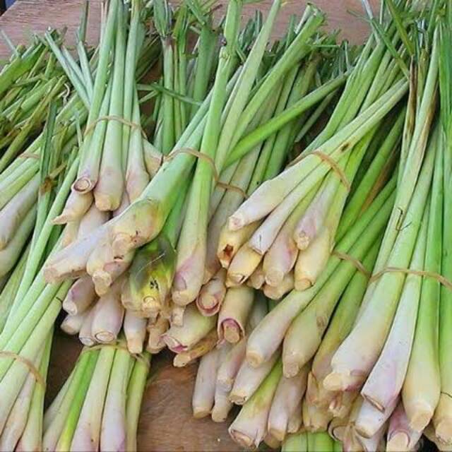 

Serai segar per 250gr