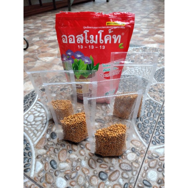 Pupuk Osmocote Thailand 13-13-13